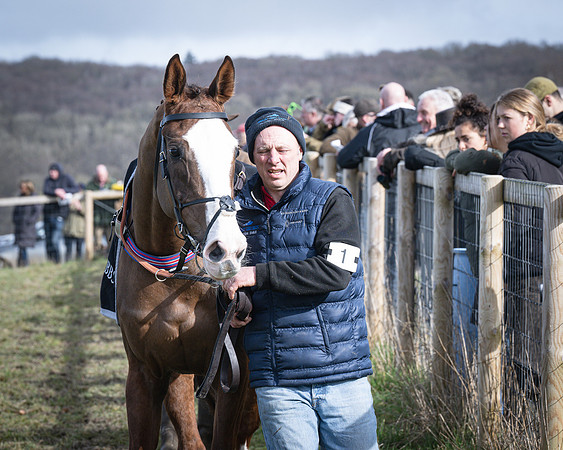 Race 3 - The Maiden Conditions (3 of 214)