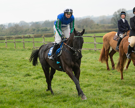Race 3 - Open maiden  (30 of 273)