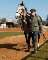 Race 1 - 4-5-6 Maiden (6 of 119).jpg