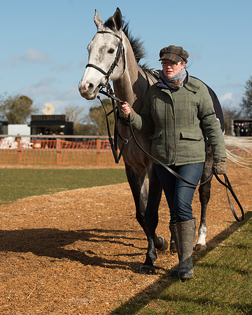 Race 1 - 4-5-6 Maiden (6 of 119).jpg
