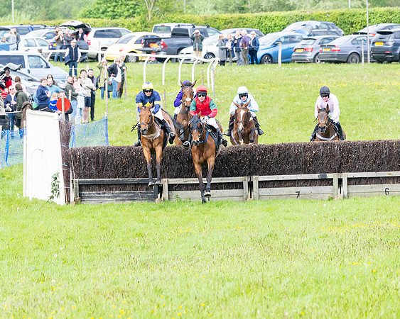 Race 2 - Veteran Horse (32 of 80)