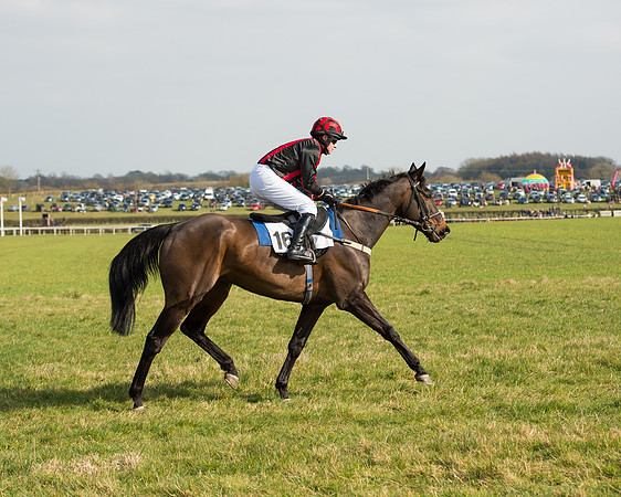 Race 2 - COnfined Hunts race (34 of 144).jpg
