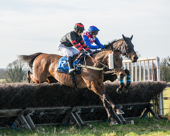 Race 5 - Restricted (45 of 146)