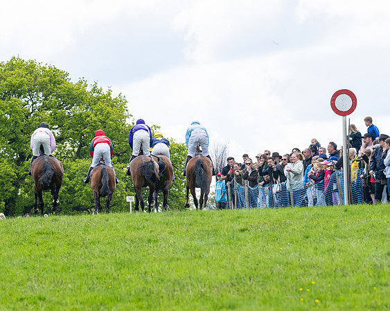 Race 2 - Veteran Horse (25 of 80)