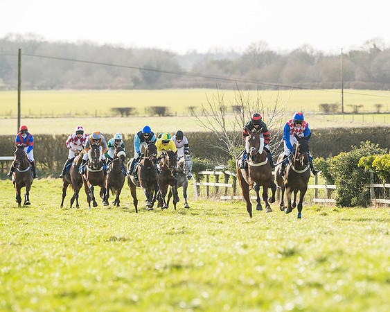 Race 5 - Restricted (40 of 146)