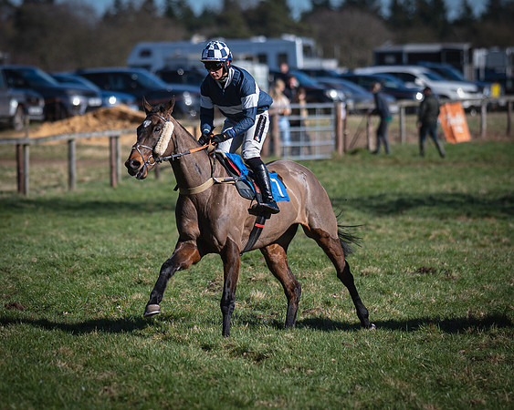Race 1 - Veteran Horse (7 of 62)