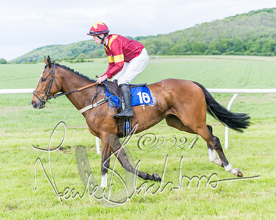 Race 5 - Restricted Race (167 of 434)