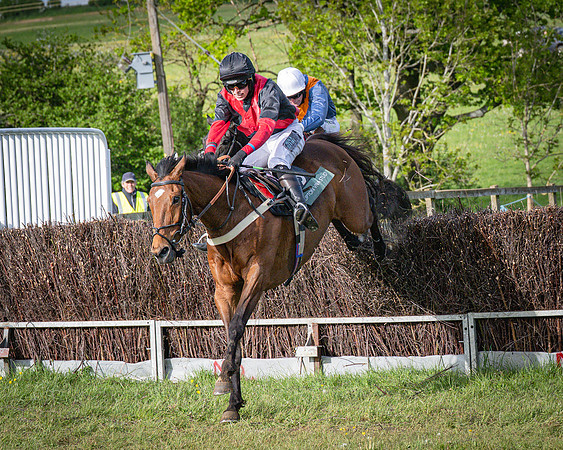 Race 7 - Walnut Hill PPORA club members maiden (66 of 104)