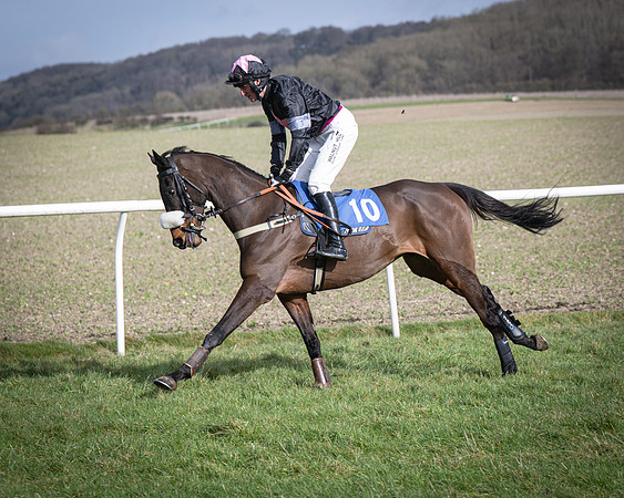 Race 3 - The Maiden Conditions (41 of 214)