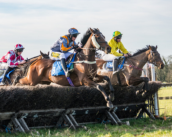 Race 5 - Restricted (50 of 146)