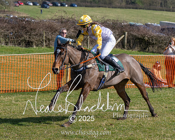 Pony Race 1 - Novice (18 of 38)