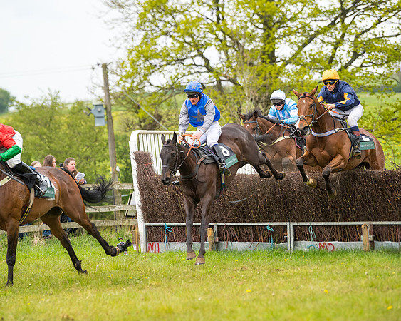 Race 7 - Open Maiden  (49 of 106)