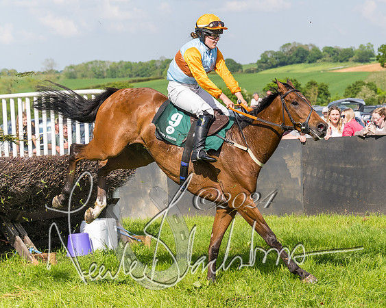 Race 4 - PPORA Novice Riders Final  (238 of 362)