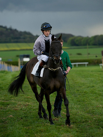 Pony Race 2 -  1