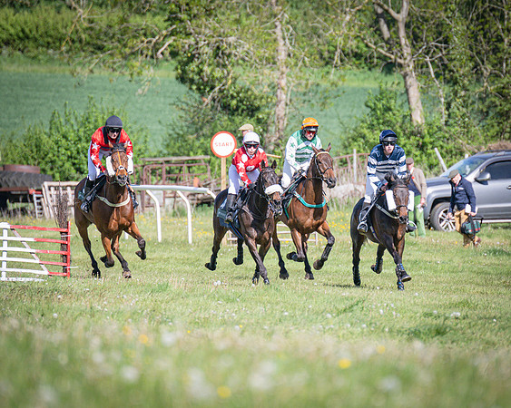 Race 5 - F N Pile and Sons PPORA Novice Riders (36 of 151)