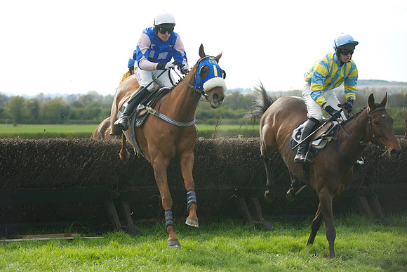 Southern Grand National  22