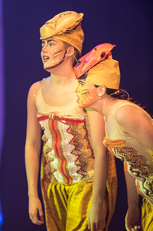 Lion King (97 of 484).jpg