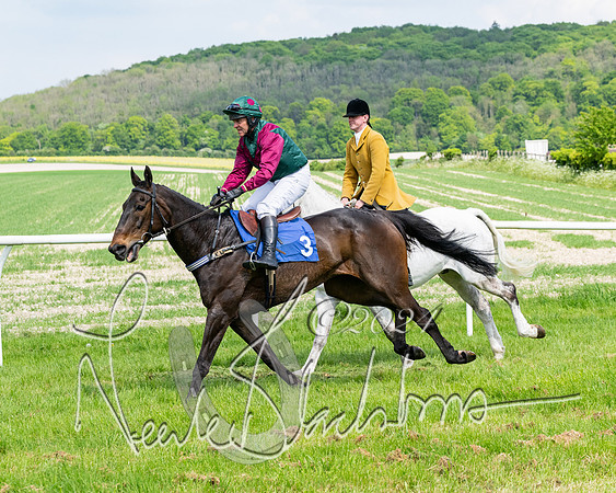 Race 2 - Restricted  (125 of 308)