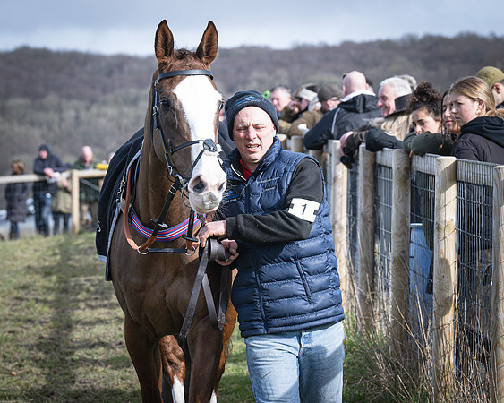 Race 3 - The Maiden Conditions (2 of 214)