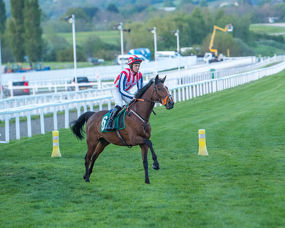 Race 7 - Glos Hussars  (106 of 245)