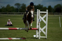 SOHS PC Summer Show at BCA 17th June 2012