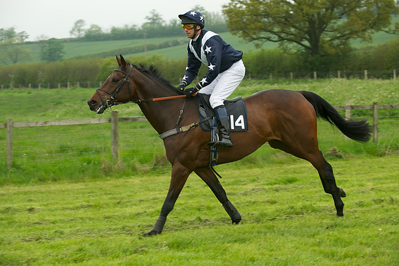 Race 2 - Novices 19