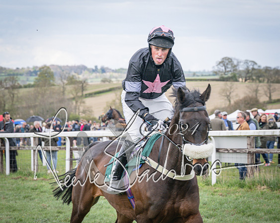Race 3 - 5 years old and Over Maiden Race (19 of 130)