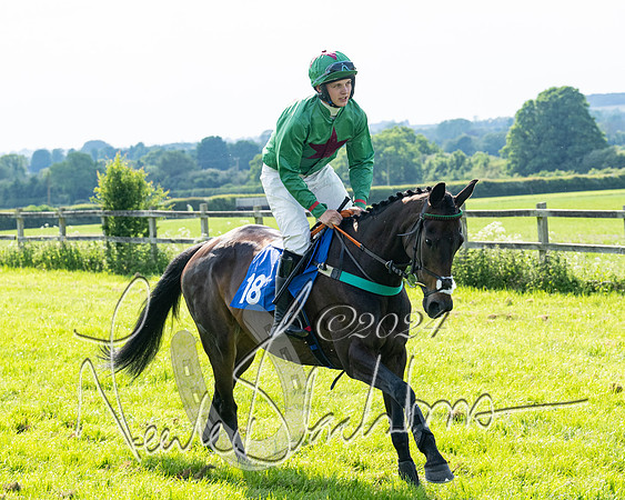 Race 5  - Maiden race 2m5F Div-2 (61 of 205)