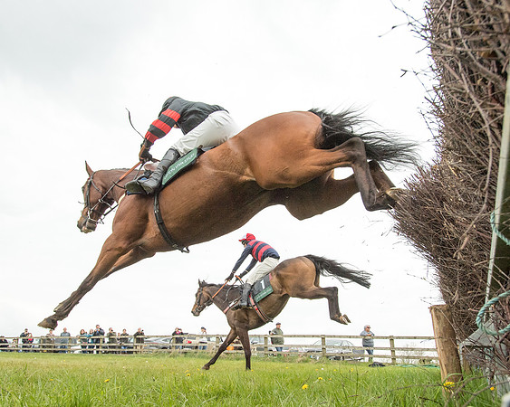 Race 2 - Jockey Club ROR veteran Horse (55 of 104)