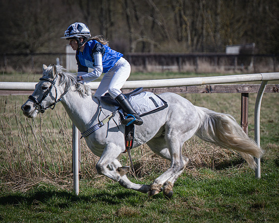 Pony Races (38 of 112)