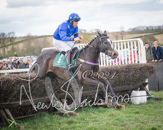 Race 2 - Tattersalls Cheltenham 4 year old Maiden (70 of 85)