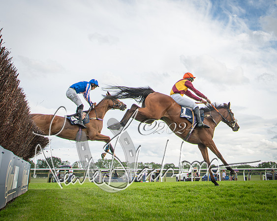 Race 1 - Pointing Pointers Restricted Final (53 of 79)