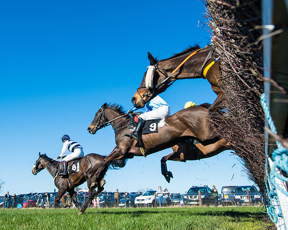 Race 4 - Ladies Open  (82 of 200)