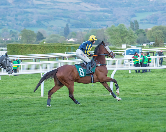 Race 7 - Glos Hussars  (82 of 245)