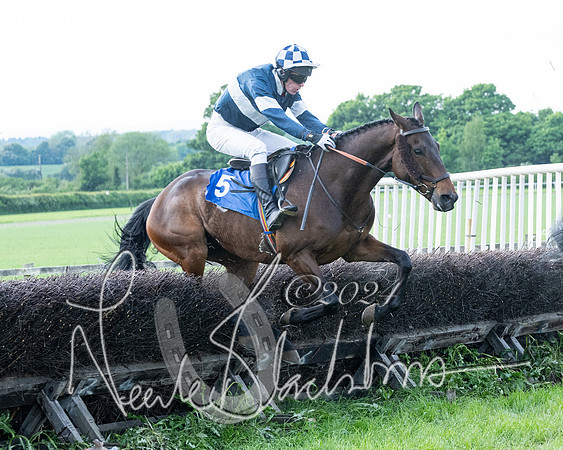Race 5  - Maiden race 2m5F Div-2 (164 of 205)