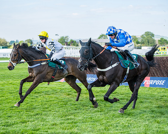 Race 1 - The open Hunter chase  (57 of 95)