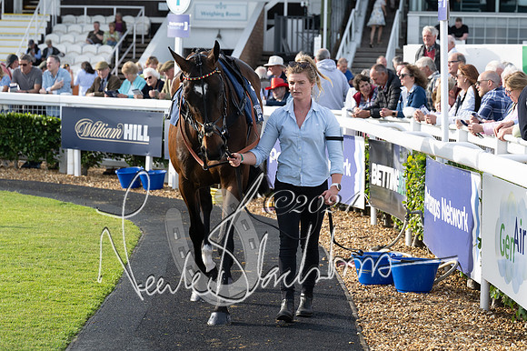 Race 3 - The pointtopoint.co.uk champion novices’ Hunter Chase (52 of 140)