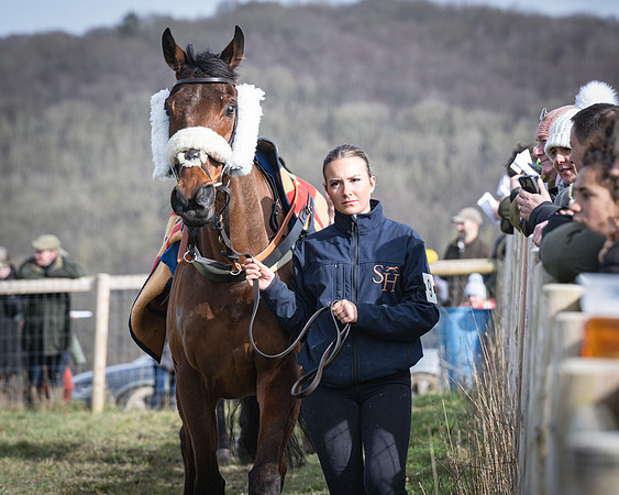 Race 3 - The Maiden Conditions (19 of 214)