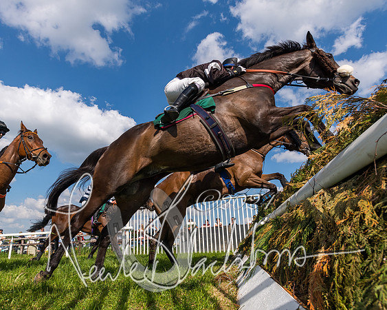 Race 4 - PPORA Novice Riders Final  (219 of 362)