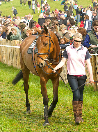 Old Berks at Lockinge Restricted Race