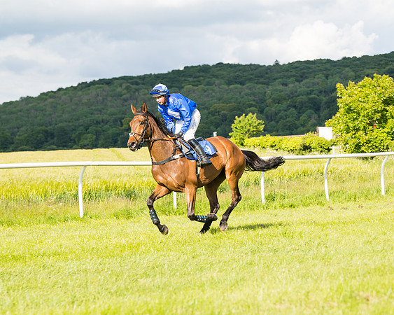 Race 6 - Open Maiden (73 of 227)