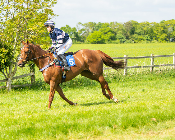 Race 4 - Ladies Open  (14 of 79)