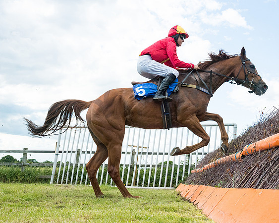 Race 5 - Restricted  (51 of 136)