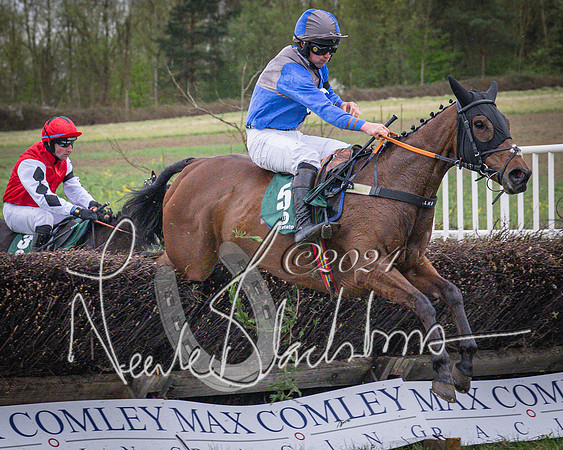 Race 7 - The Jockey Club maiden race for Mares and Fillies only (78 of 96)