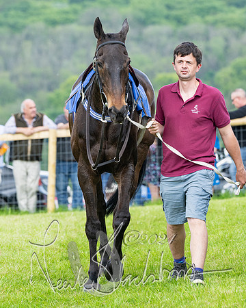Race 2 - Restricted  (36 of 308)