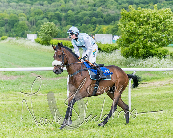 Race 5 - Restricted Race (134 of 434)
