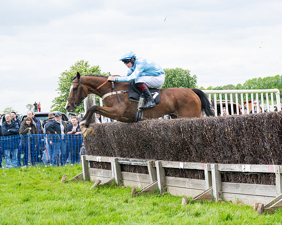 Race 2 - Veteran Horse (18 of 80)