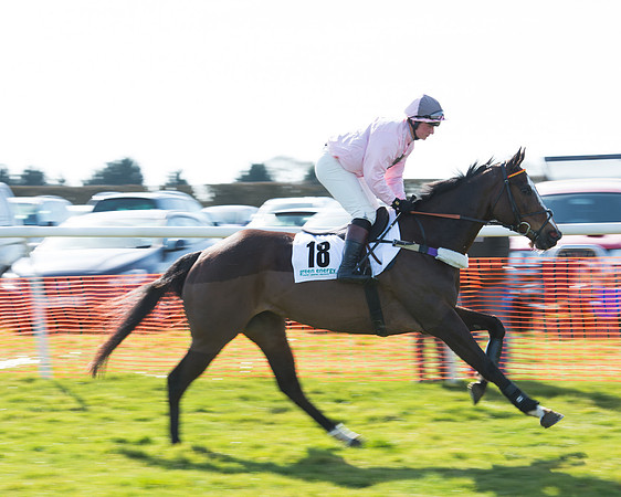Race 2 - Open Maiden Div 2 (22 of 124).jpg