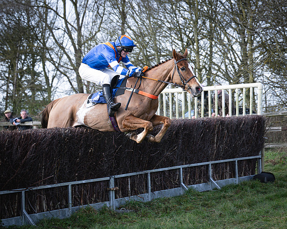 Race 2 - Maiden (116 of 145)