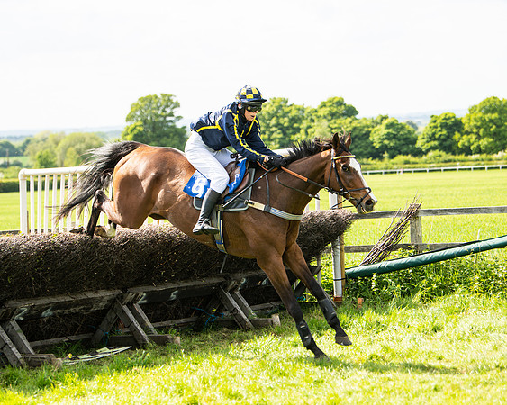 Race 4 - Ladies Open  (57 of 79)